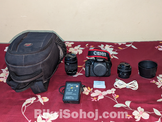 Canon 700 with 50mm prime and 18-55 kit lens